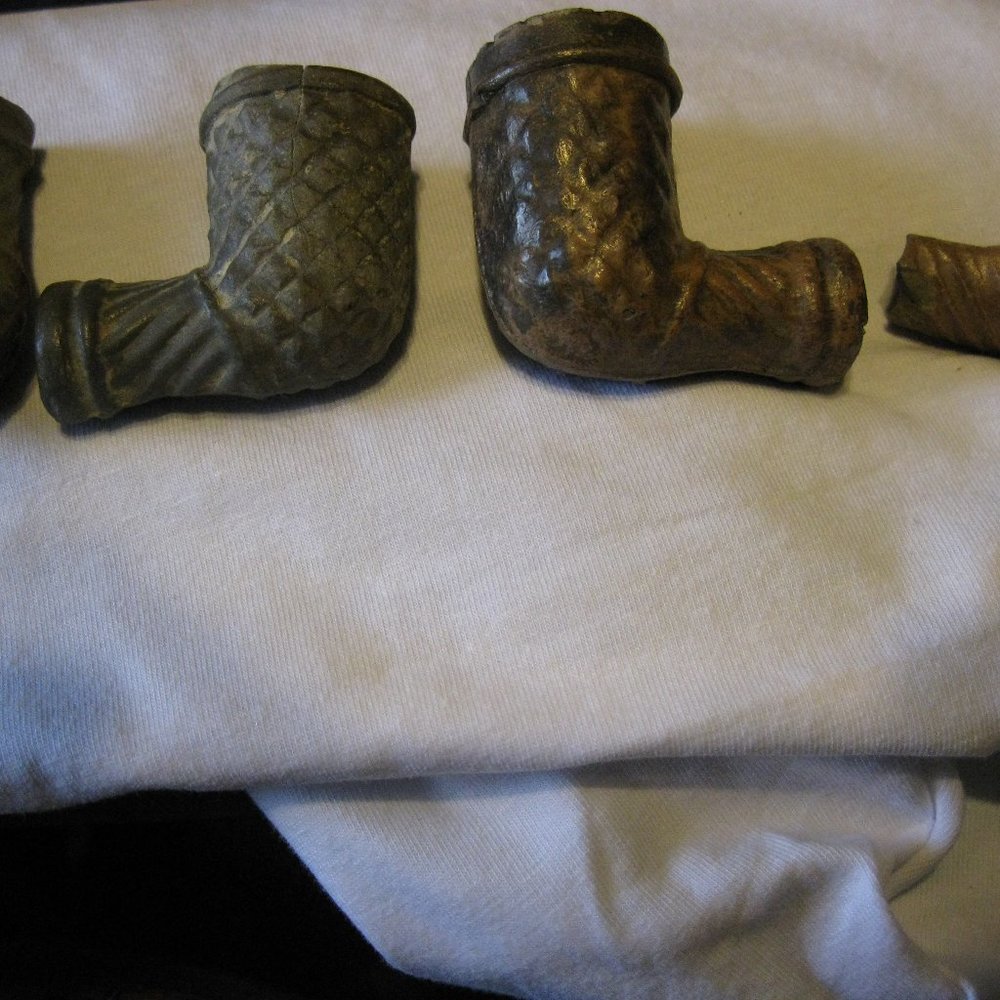 Indian Pipes from the mid west